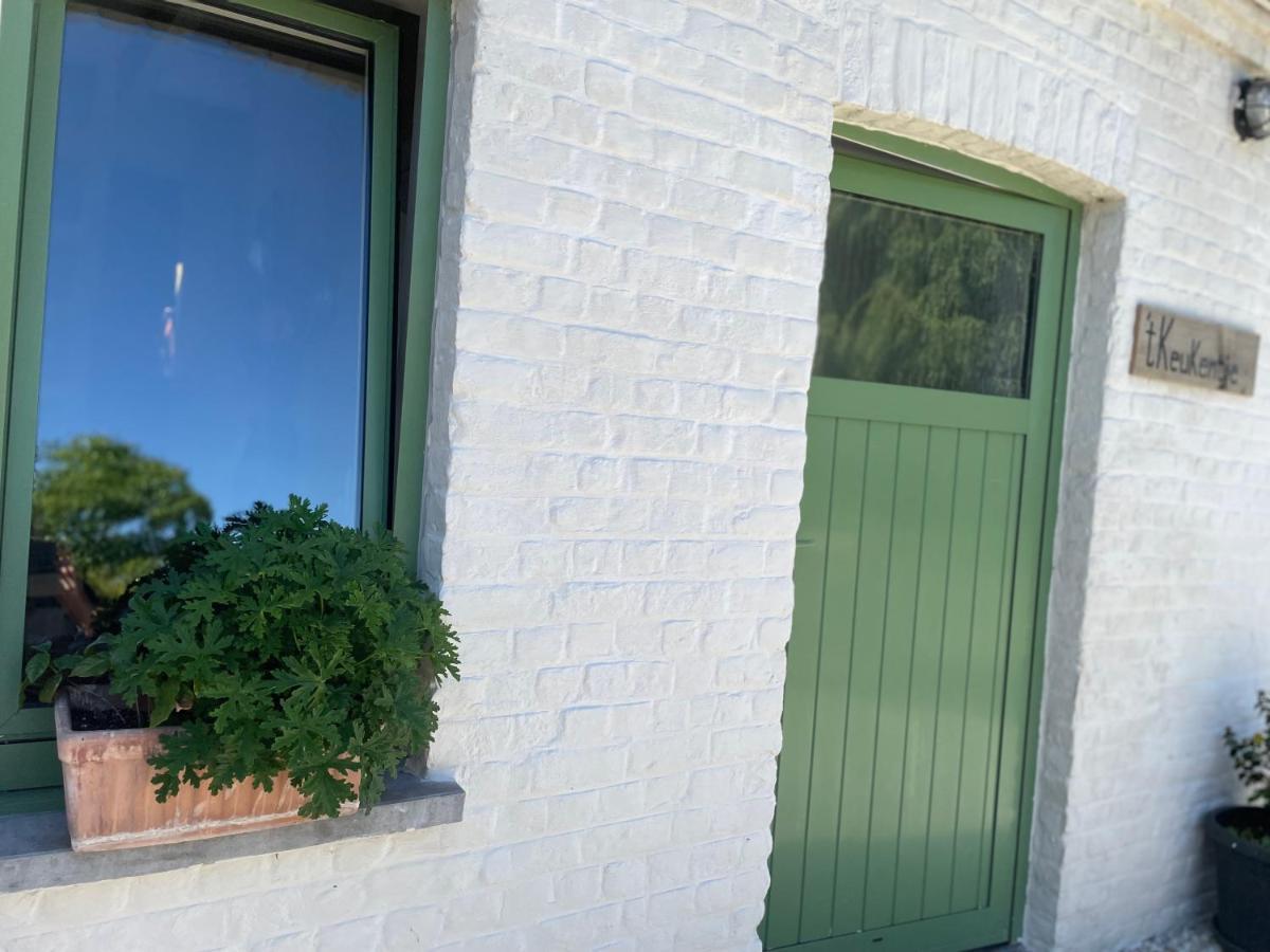 Oedelem De Wabisabiboerderij Bed & Breakfast エクステリア 写真