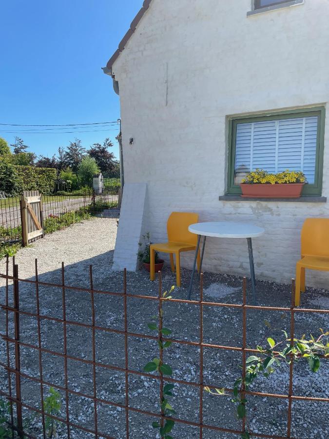 Oedelem De Wabisabiboerderij Bed & Breakfast エクステリア 写真
