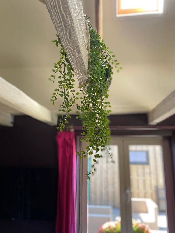 Oedelem De Wabisabiboerderij Bed & Breakfast エクステリア 写真