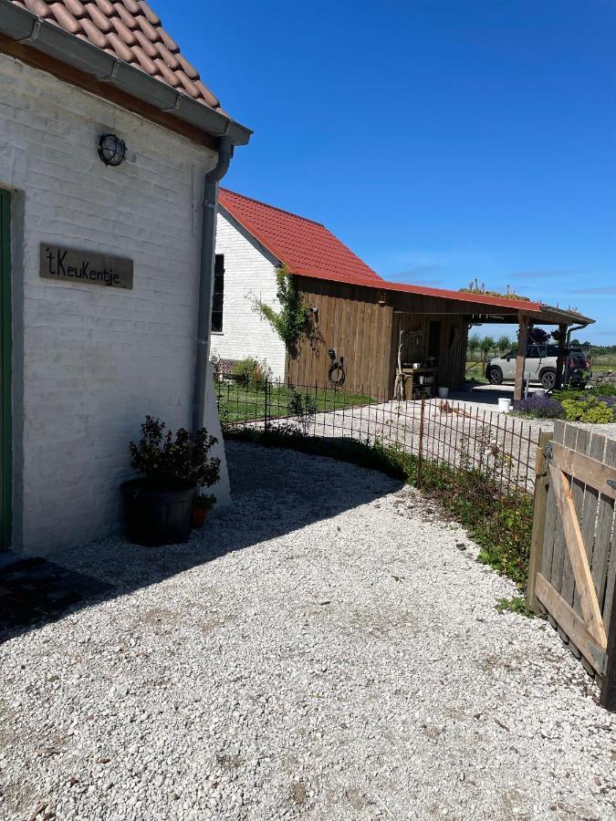 Oedelem De Wabisabiboerderij Bed & Breakfast エクステリア 写真