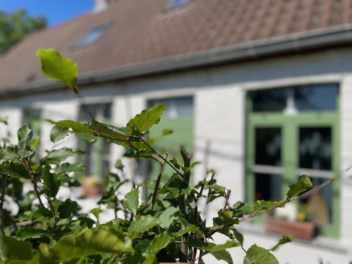 Oedelem De Wabisabiboerderij Bed & Breakfast エクステリア 写真
