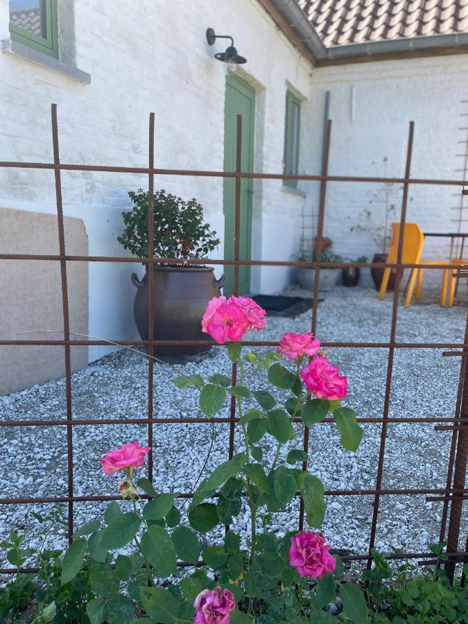 Oedelem De Wabisabiboerderij Bed & Breakfast エクステリア 写真